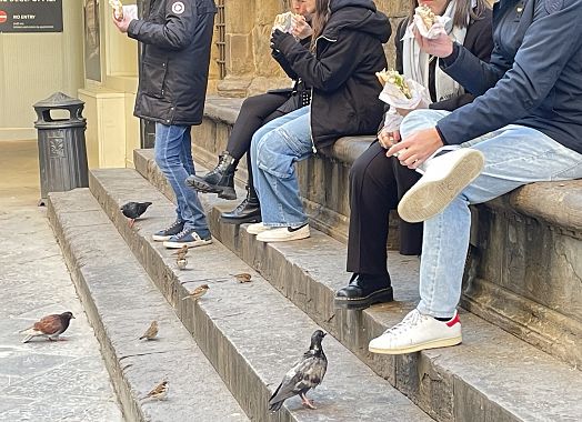 Piccioni insidiano i turisti a Firenze - foto Blue Lama